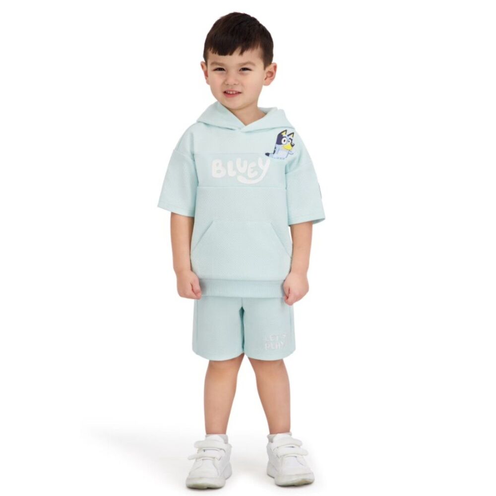 NEW NWT Boys Sz 3 Toddler Textured Light Blue Shorts & Hooded Shirt BLUEY Outfit